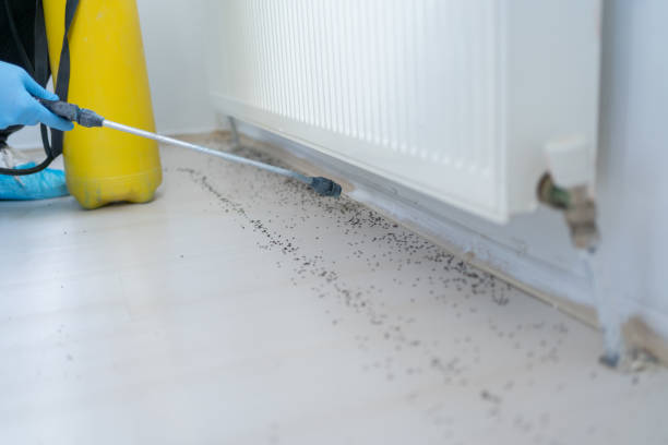 St Clair, MO Pest Control Company