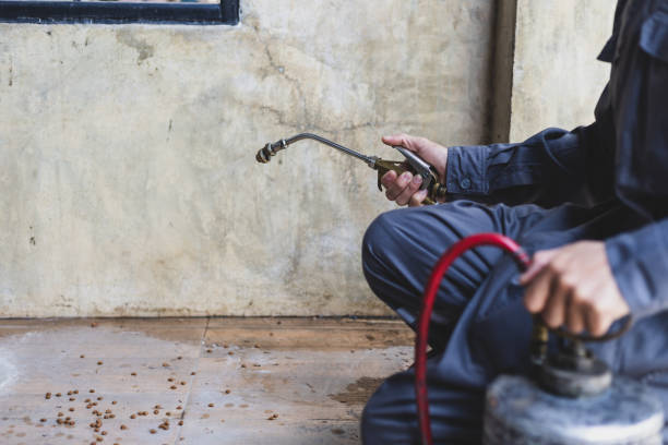 Best Affordable Pest Control Services  in St Clair, MO
