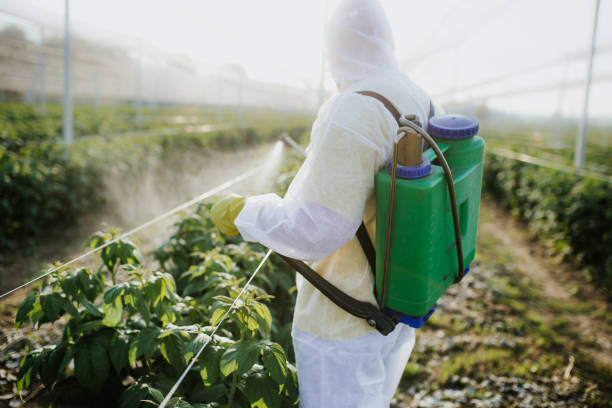 Best Pest Control Near Me  in St Clair, MO
